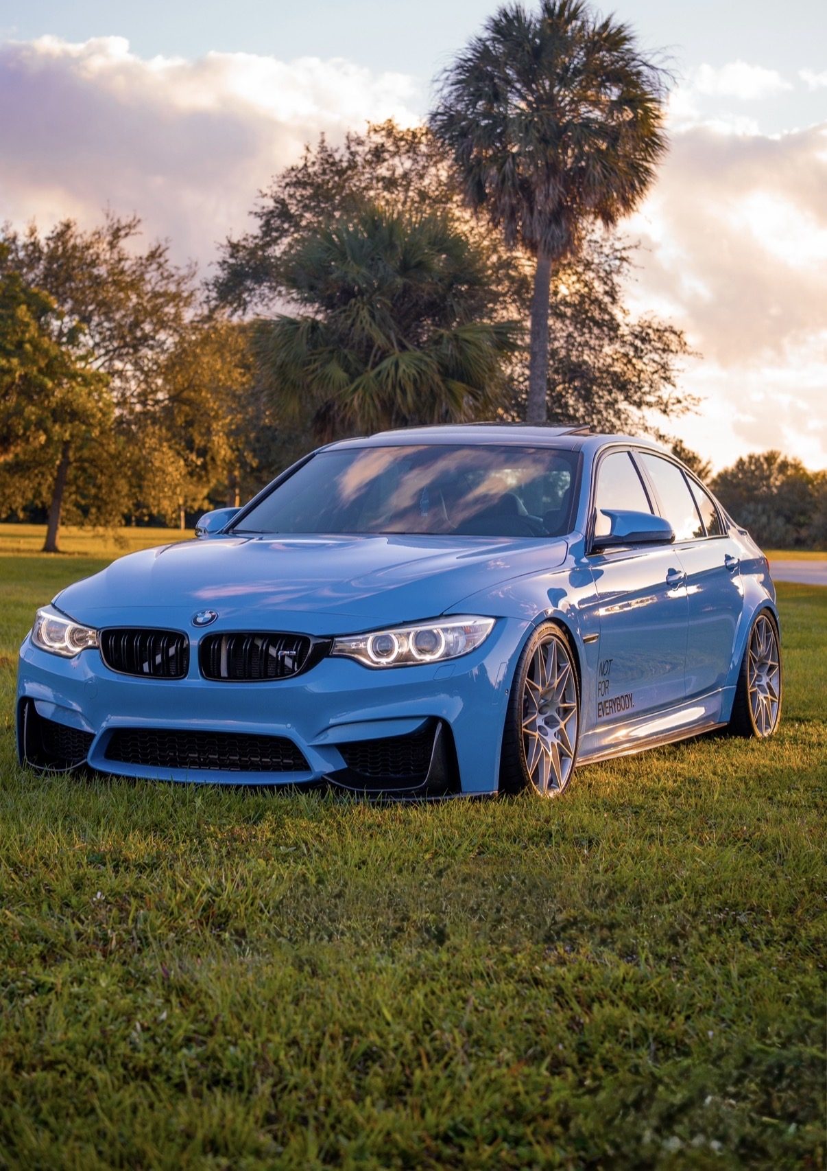 Blue BMW F80 M3 on grass