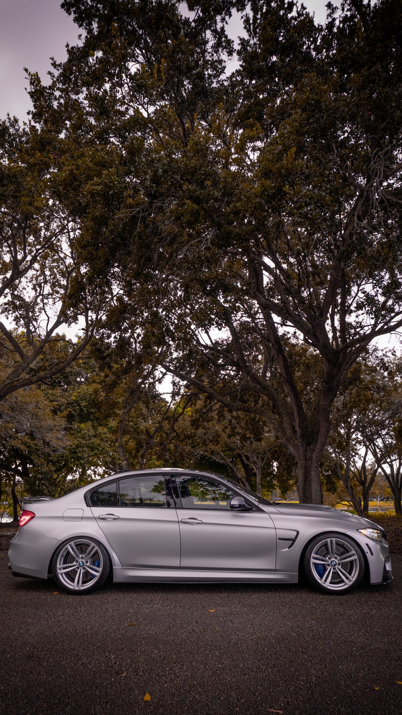 Silver BMW F80 M3 side profile