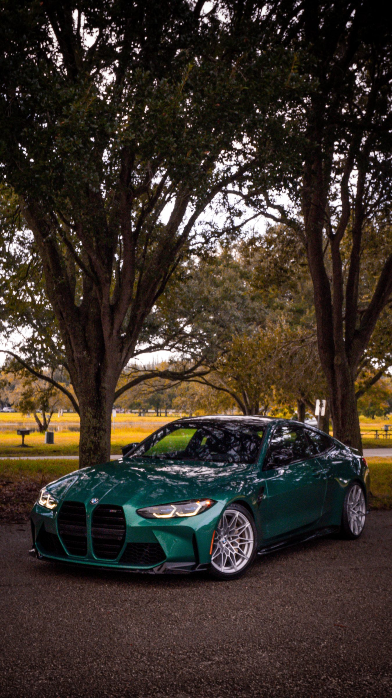 Green BMW G82 M4 parked under oak trees