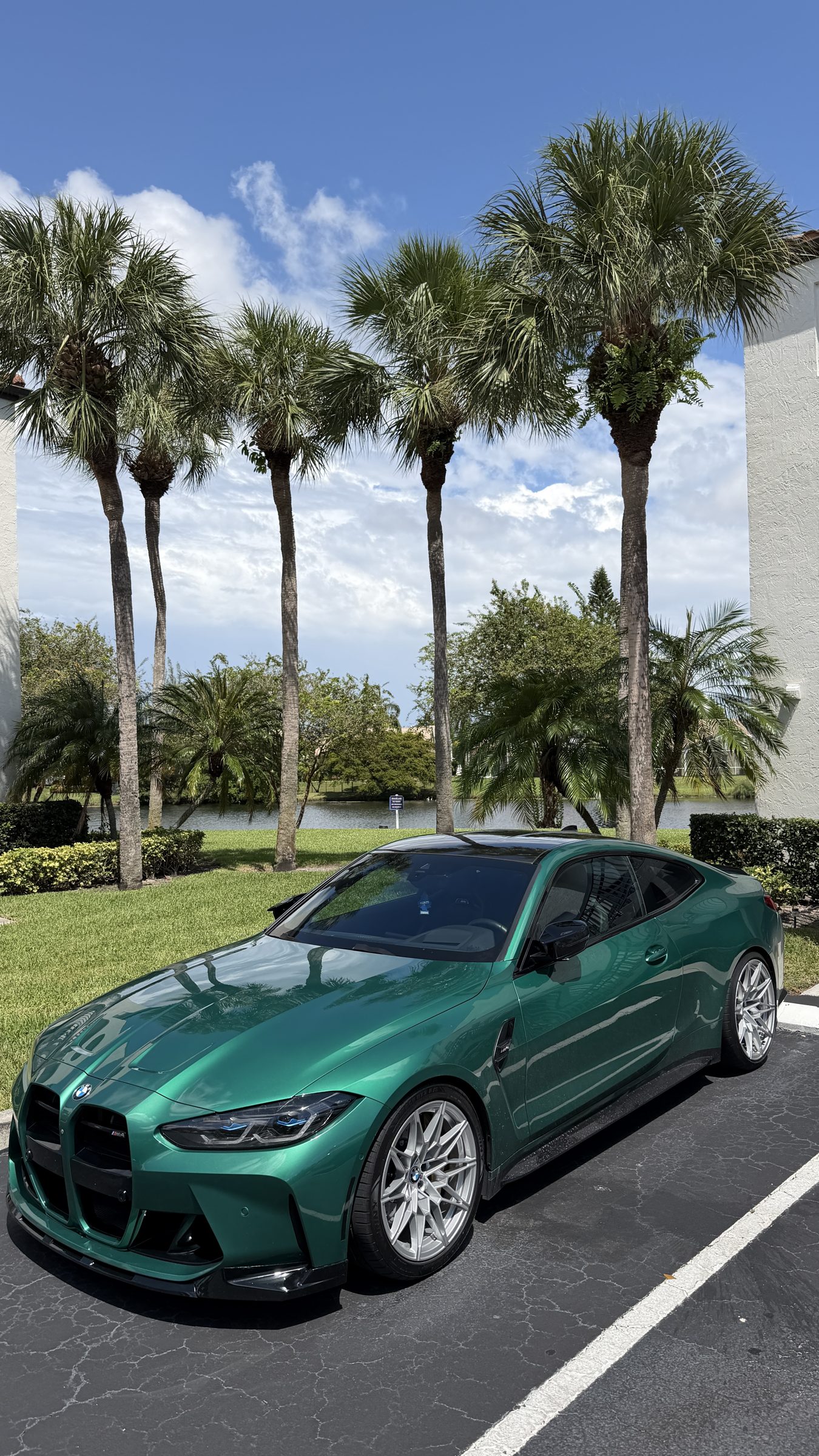 Green BMW G82 M4 under palm trees